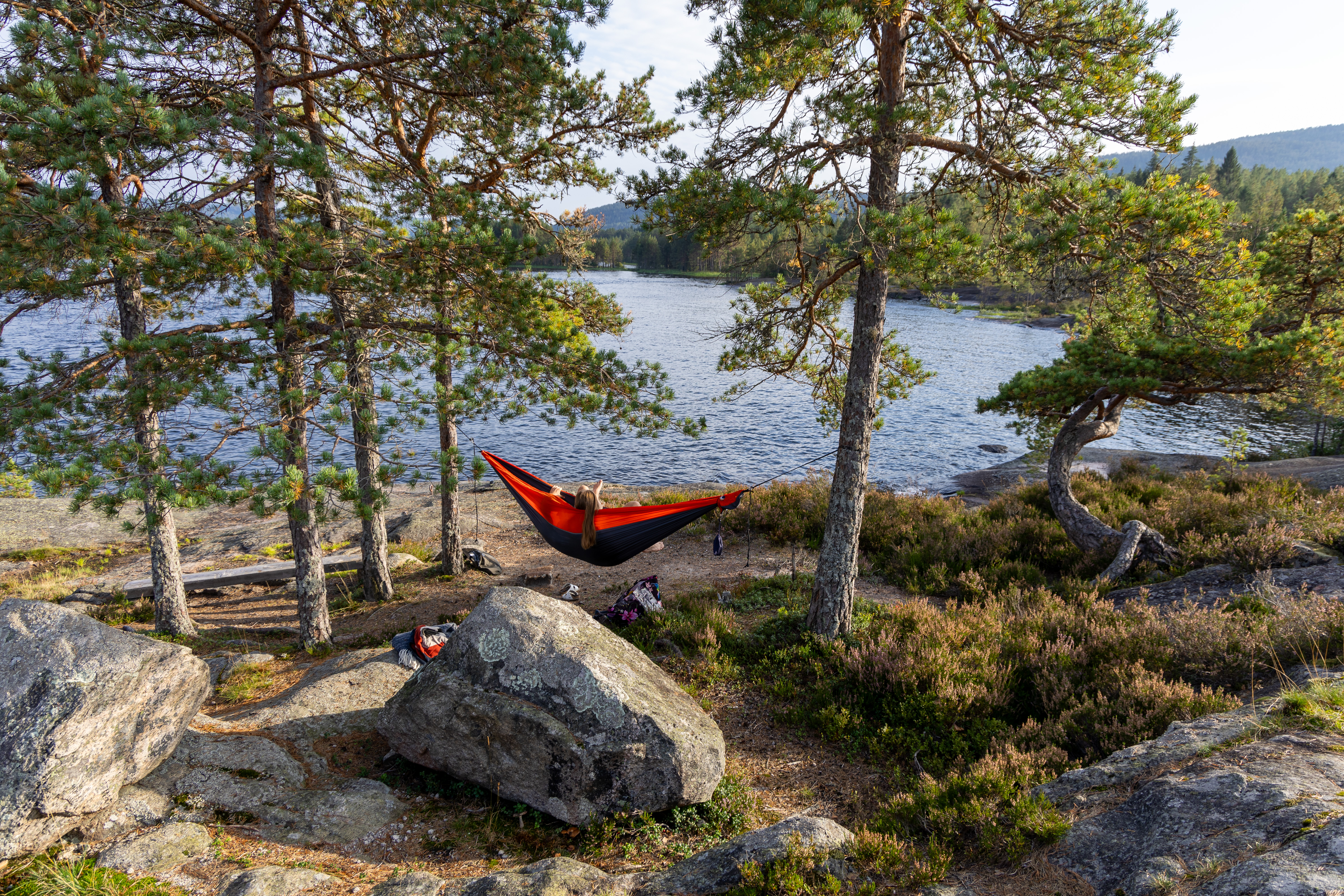 Empty red hammock strung between pine trees beside a lake