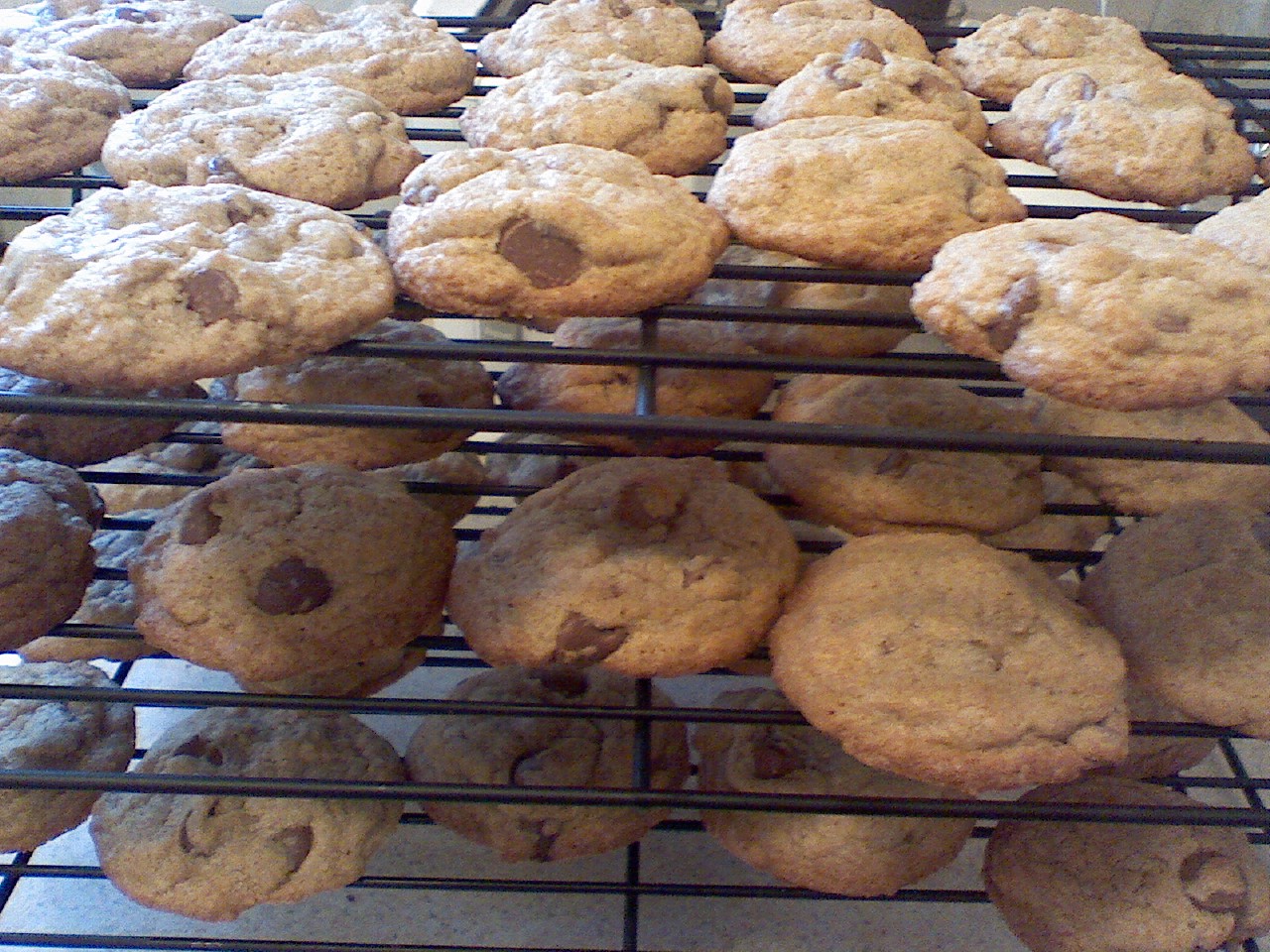 Rows of home-baked chocolate chip cookies cooling on wire racks