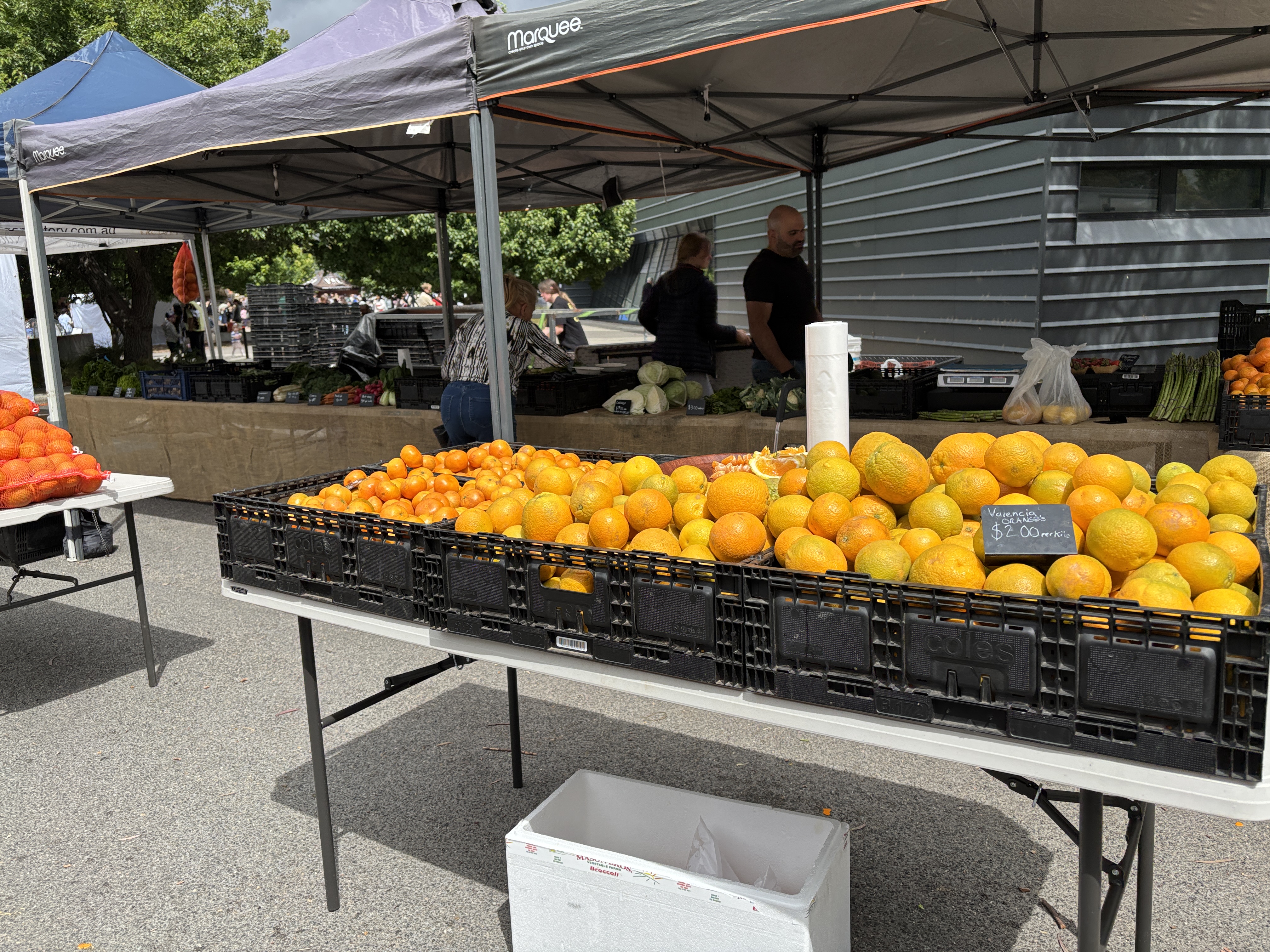Folding table at an outdoor market with black crates full of oranges under a canopy