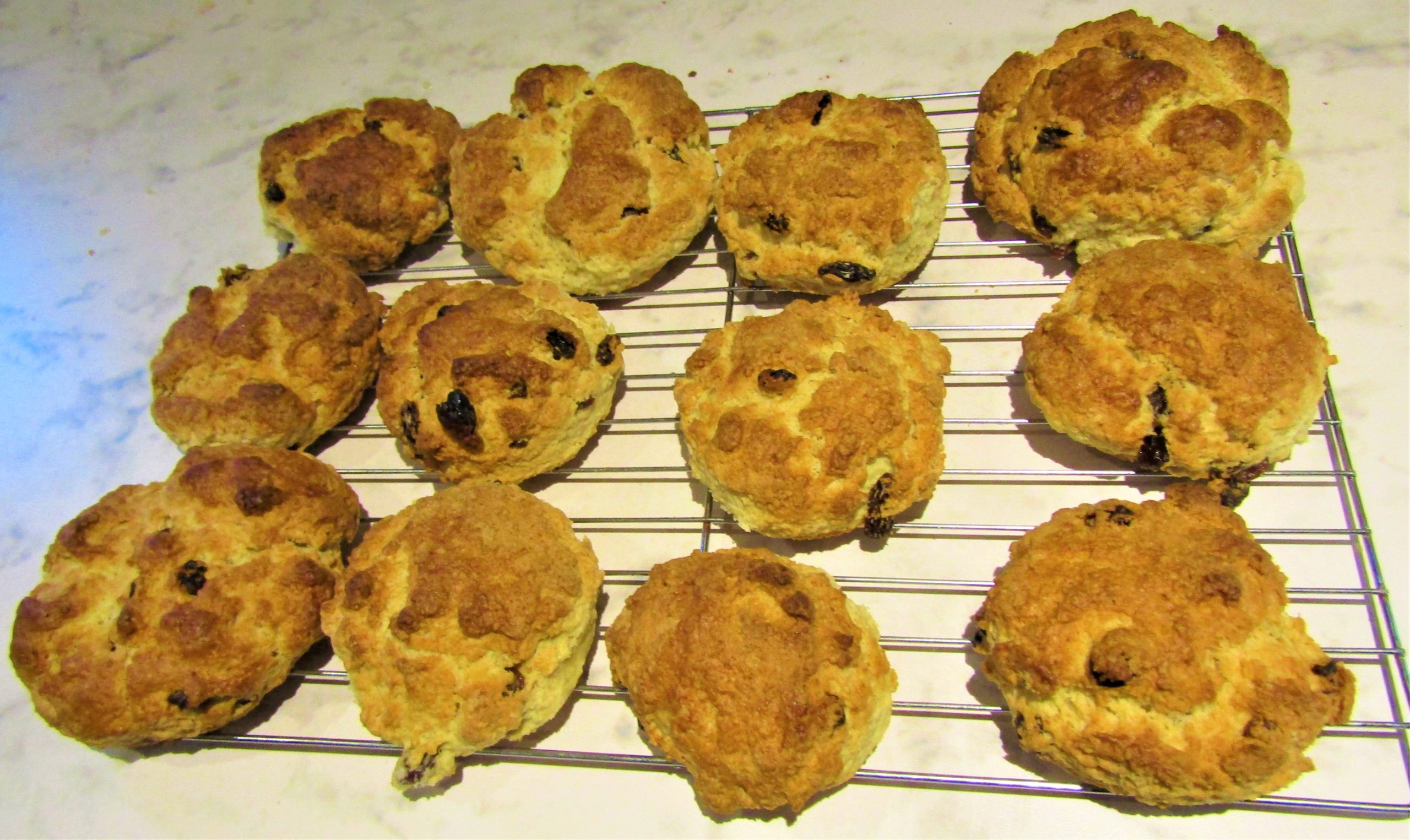 Twelve home-baked fruit scones cooling on a wire rack on a marble worktop
