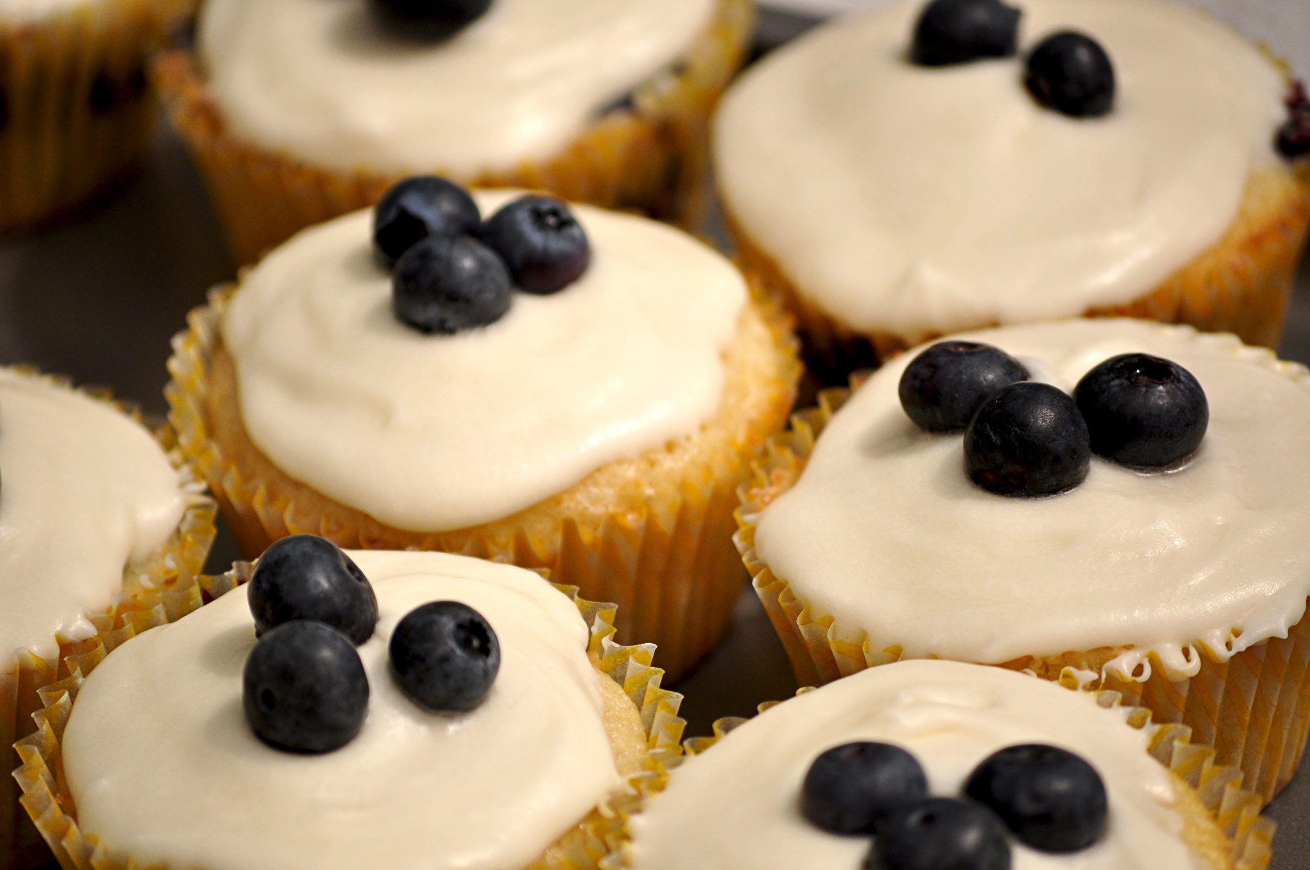 Close-up of cupcakes topped with white frosting and fresh blueberries